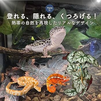 Ｇ39 流木　爬虫類　両生類　小動物シェルター　DIY ハンドメイド　観葉植物 G39 流木 爬虫類 両生類 小動物シェルター DIY 観葉植物
